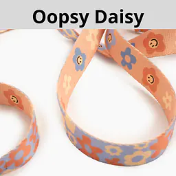Leash for 2 mini dogs - Master