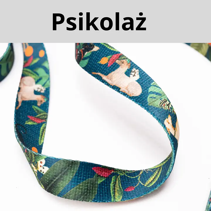 Leash for 2 mini dogs - Master