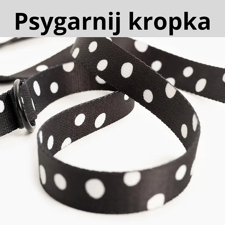 Adjustable leash for 2 small dogs - Master