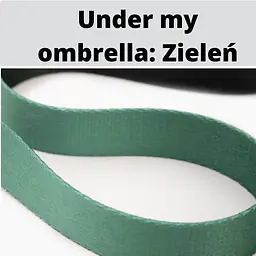 Smycz miejska dla 2 małych psów - Master