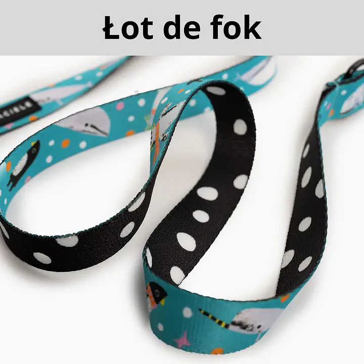 Smycz miejska dla 2 małych psów - Master