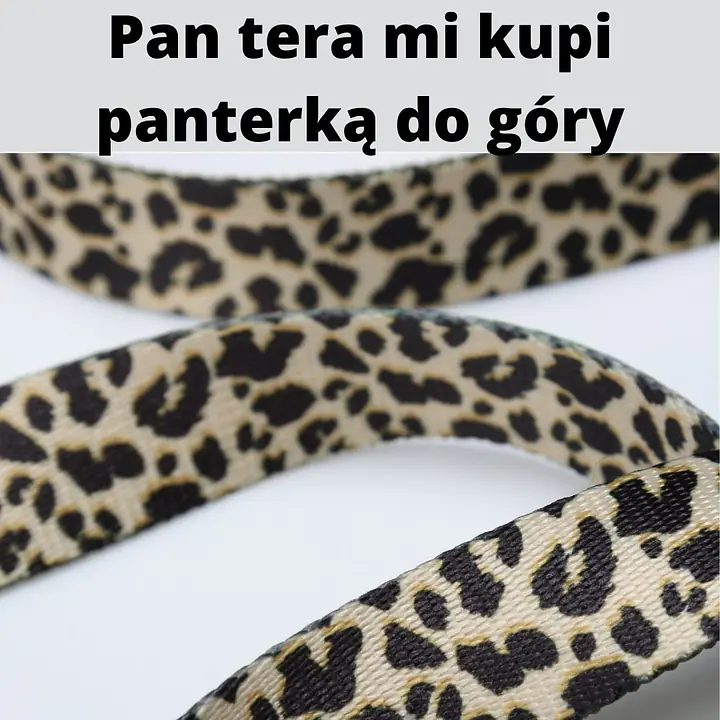 Smycz przepinana dla 2 dużych i średnich psów - Master