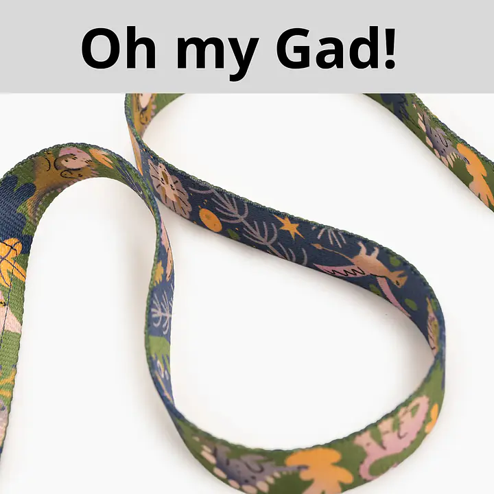 Leash for 2 mini dogs - Master