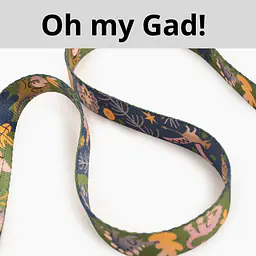 Leash for 2 mini dogs - Master