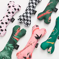 Toy bone "Love, Equality, Teethers" - Master