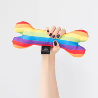 Toy bone "Love, Equality, Teethers" - Master