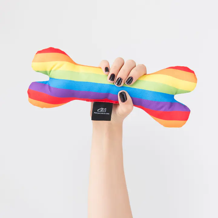 Toy bone "Love, Equality, Teethers" - Master