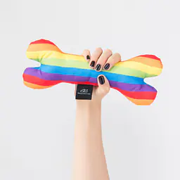 Toy bone "Love, Equality, Teethers" - Master