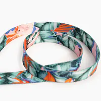 "Hen's wet dream" city leash - Master