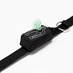 Etui na kupoworki "Black is the new black" - Master