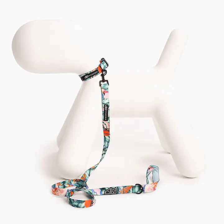 Dog or cat collar "Hen's wet dream" - Master