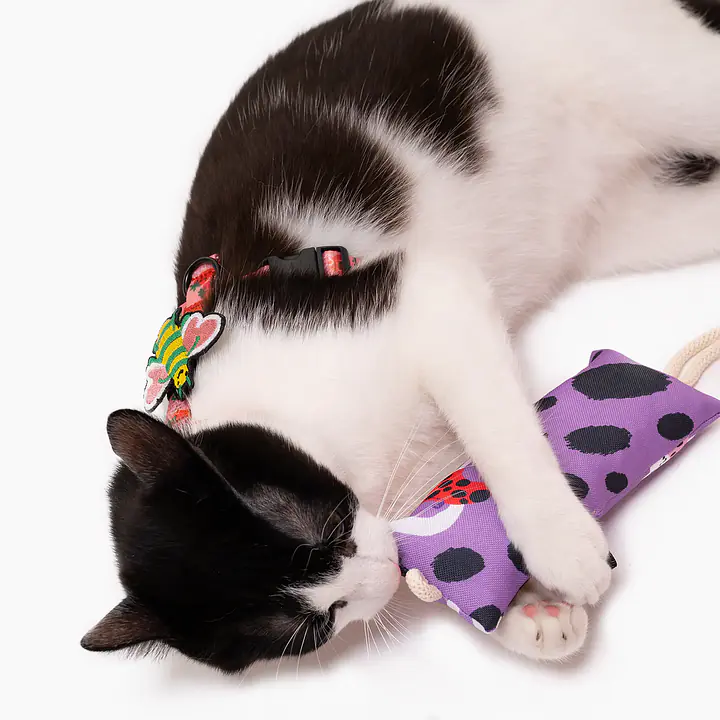 Kopacz dla kota z kocimiętką lub walerianą - Master