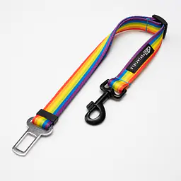 "Love, Equality, Teethers" car belts - Master