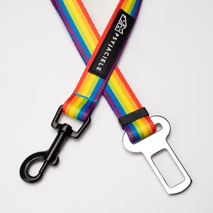 Pasy samochodowe "Miłość, równość, gryzaki" - Master