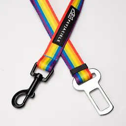 "Love, Equality, Teethers" car belts - Master