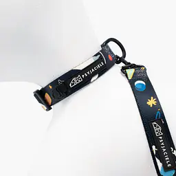 Dog or cat collar "I need space" - Master