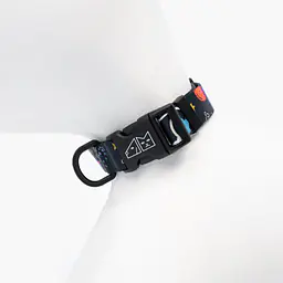 Dog or cat collar "I need space" - Master