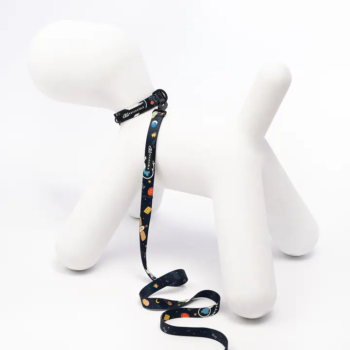 Obroża dla psa lub kota "I need space" - Master