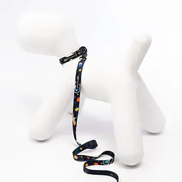 Dog or cat collar "I need space" - Master