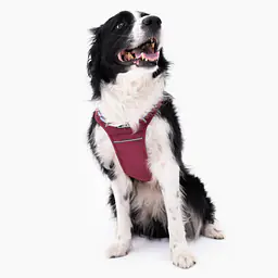 Szelki Adventure "Wiśnia, wiśnia pani" PASKI - Master