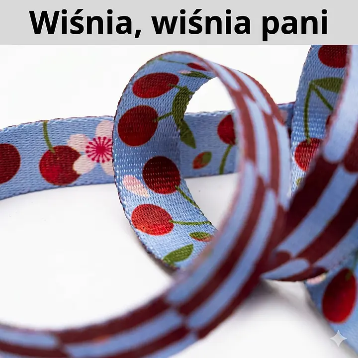 Smycz przepinana dla 2 małych psów - Master