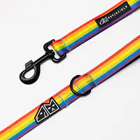 "Love, Equality, Teethers" city leash - Master