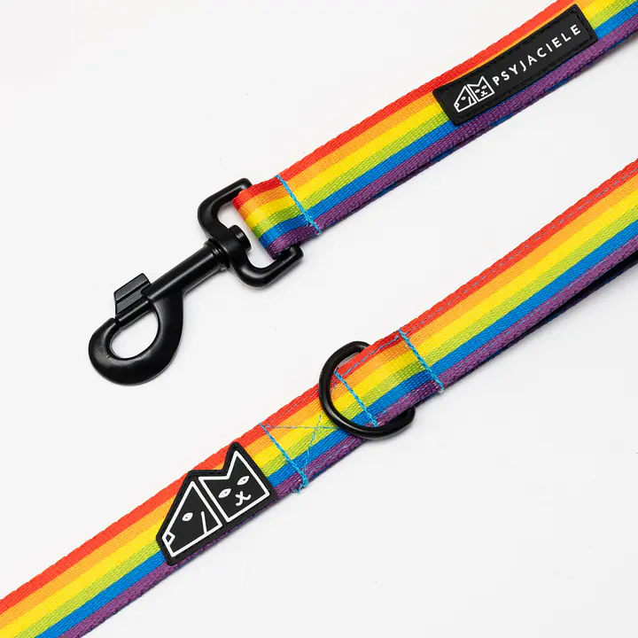 "Love, Equality, Teethers" city leash - Master