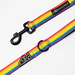 "Love, Equality, Teethers" city leash - Master