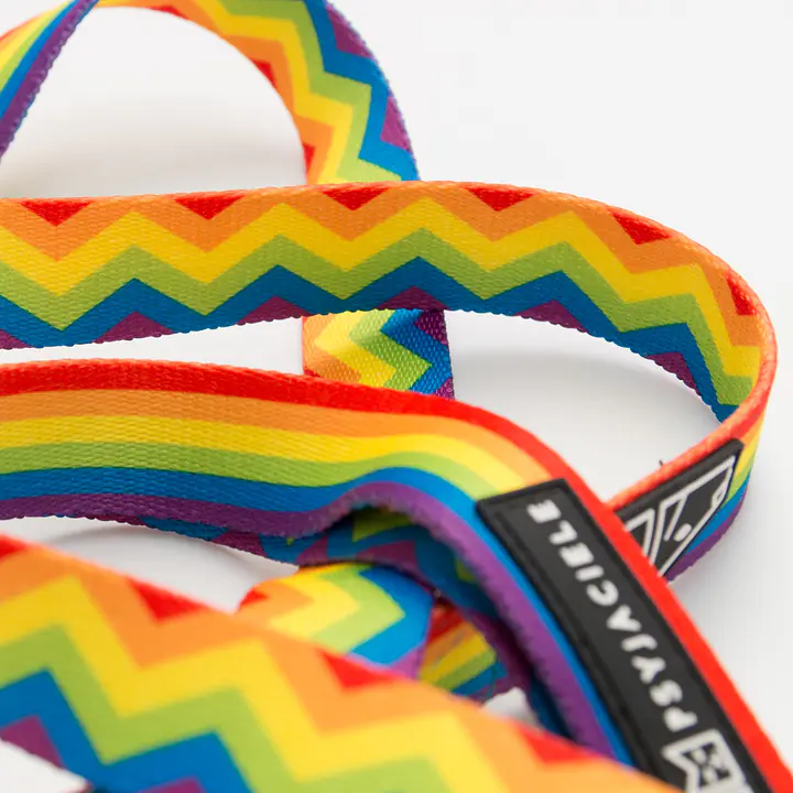 "Love, Equality, Teethers" city leash - Master