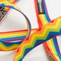 "Love, Equality, Teethers" city leash - Master