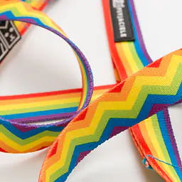 "Love, Equality, Teethers" city leash - Master