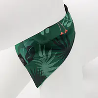 Bandana "Welcome to the jungle" collar - Master