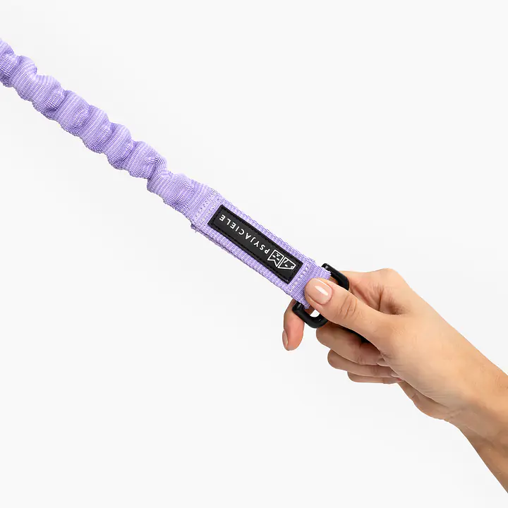 Smycz biegowa z amortyzatorem do pasa biegowego dla średnich i dużych psów (25mm) - Kolor: Lilac, Wielkość karabinka: Mały karabinek