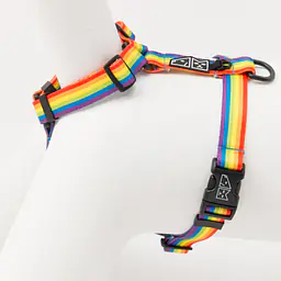 "Love, Equality, Teethers" dog or cat harness - Master