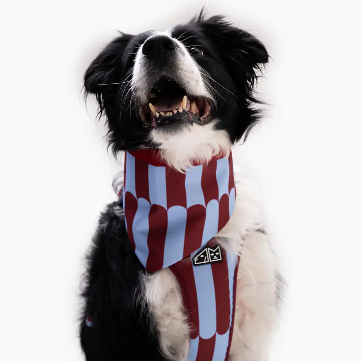 Bandana zapinana na rzep - Master
