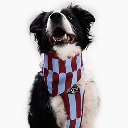 Bandana zapinana na rzep - Master