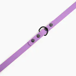 Adjustable Biothane® leash for 2 dogs - Master