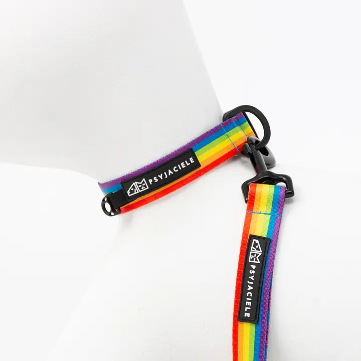 Obroża dla psa lub kota "Miłość, równość, gryzaki" - Master