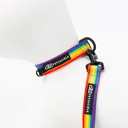 Dog or cat collar "Love, Equality, Teethers" - Master