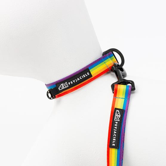 Obroża dla psa lub kota "Miłość, równość, gryzaki"