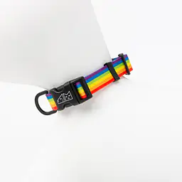 Dog or cat collar "Love, Equality, Teethers" - Master