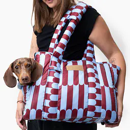 Torba soft typu Tote/ Torba transportowa dla małego psa 2w1 - Master