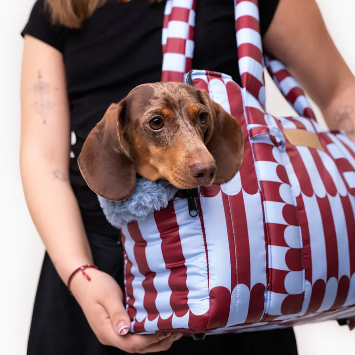 Torba soft typu Tote/ Torba transportowa dla małego psa 2w1 - Master