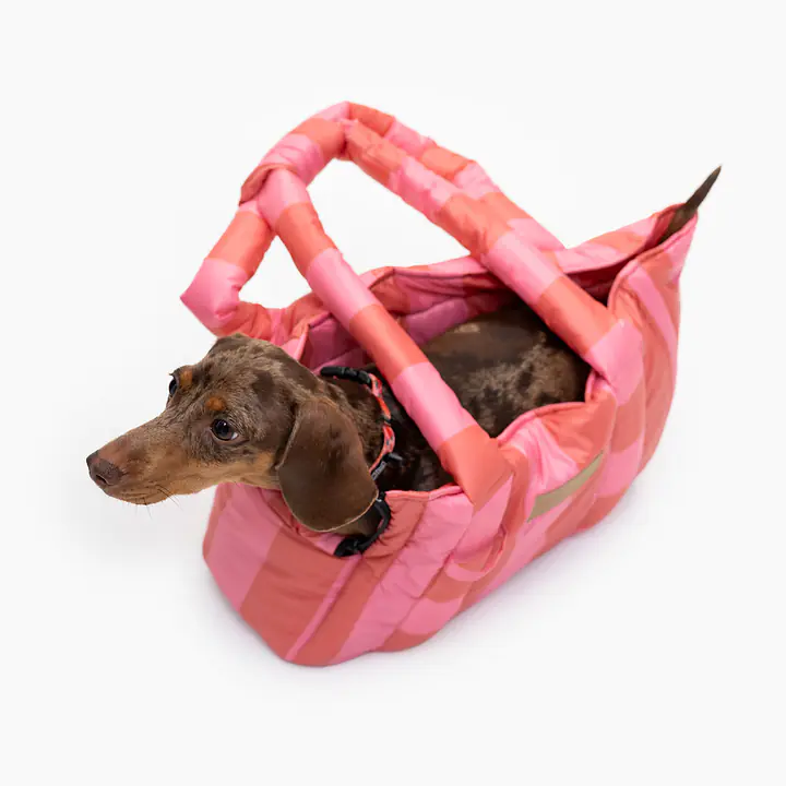 Torba soft typu Tote/ Torba transportowa dla małego psa 2w1 - Master