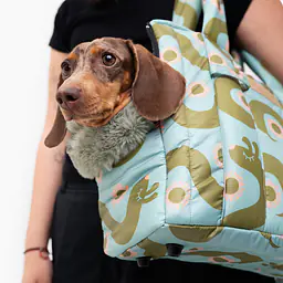 Torba soft typu Tote/ Torba transportowa dla małego psa 2w1 - Wzór: Piesss