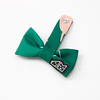 Bow tie "Sleepy dogs"  - Master