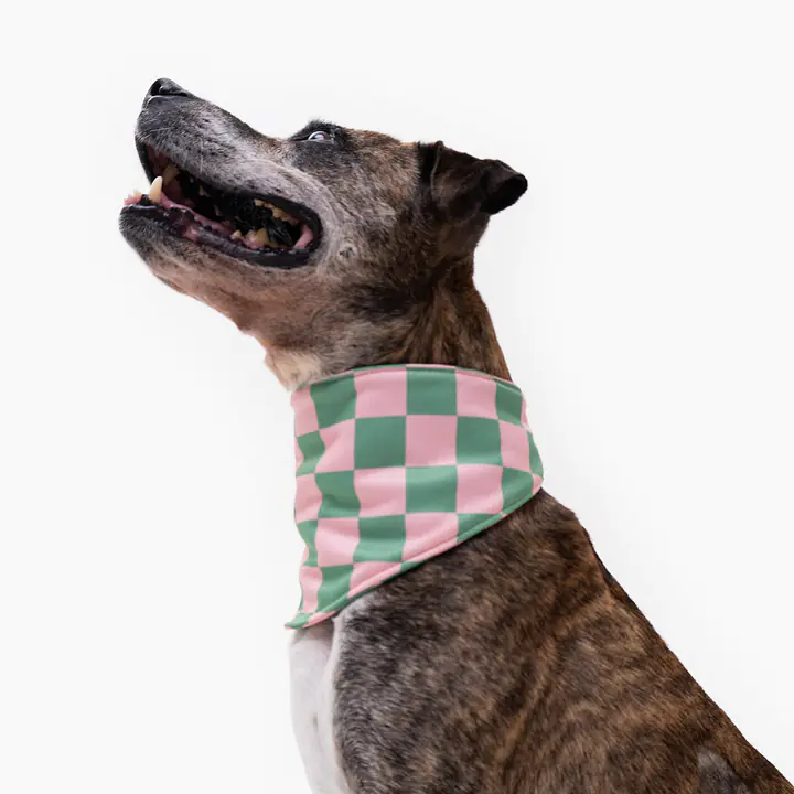 Bandana chłodząca dla psa - Master