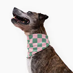 Bandana chłodząca dla psa - Master