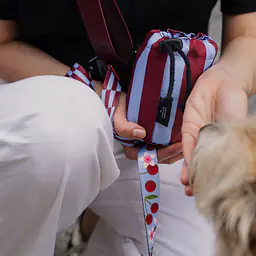 Mini snack pouch - Master
