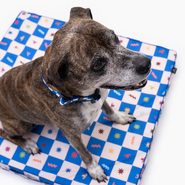 COPY OF Custom mattress for dog or cat - Master